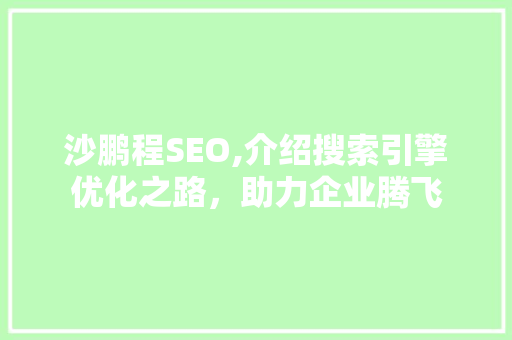 沙鹏程SEO,介绍搜索引擎优化之路，助力企业腾飞