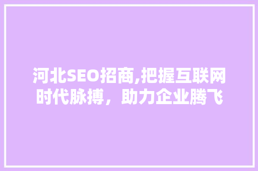 河北SEO招商,把握互联网时代脉搏，助力企业腾飞