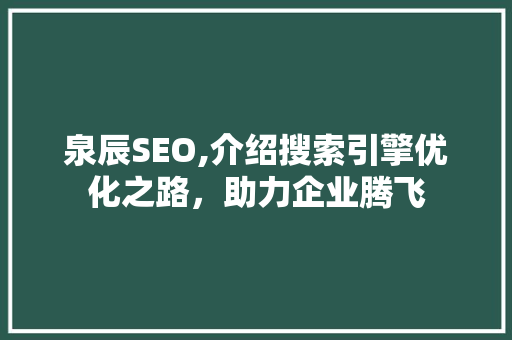 泉辰SEO,介绍搜索引擎优化之路，助力企业腾飞