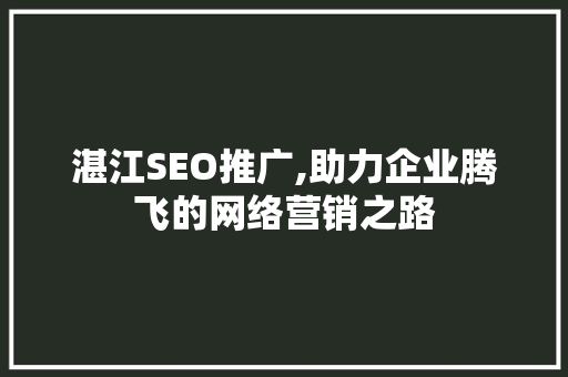 湛江SEO推广,助力企业腾飞的网络营销之路