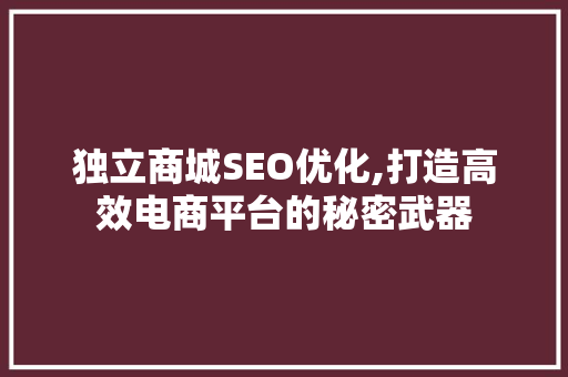 独立商城SEO优化,打造高效电商平台的秘密武器