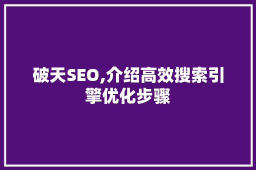 破天SEO,介绍高效搜索引擎优化步骤
