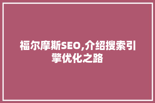 福尔摩斯SEO,介绍搜索引擎优化之路