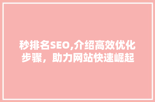 秒排名SEO,介绍高效优化步骤，助力网站快速崛起