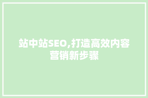 站中站SEO,打造高效内容营销新步骤