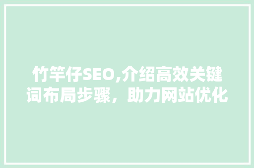 竹竿仔SEO,介绍高效关键词布局步骤，助力网站优化