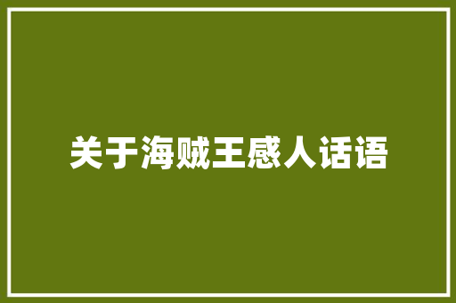 网络SEO,优化步骤与实战方法全介绍