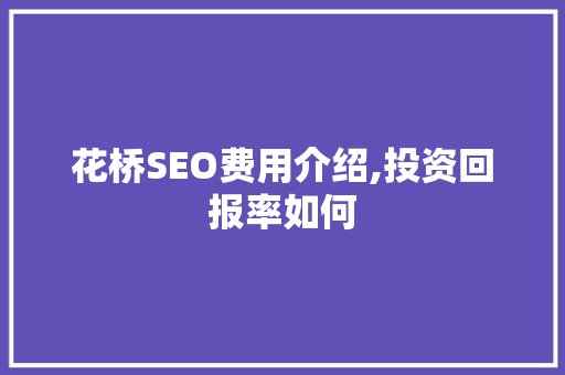 花桥SEO费用介绍,投资回报率如何
