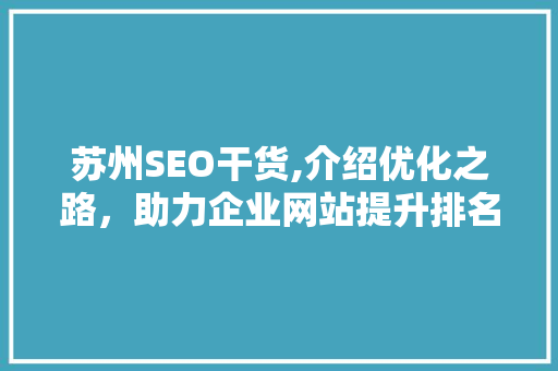 苏州SEO干货,介绍优化之路，助力企业网站提升排名