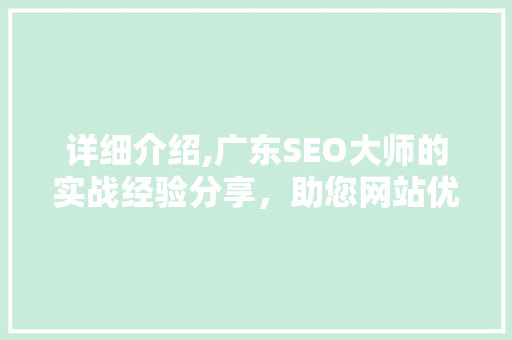 详细介绍,广东SEO大师的实战经验分享，助您网站优化脱颖而出