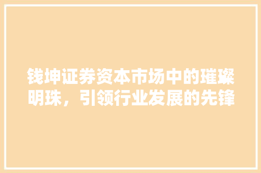 钱坤证券资本市场中的璀璨明珠，引领行业发展的先锋力量
