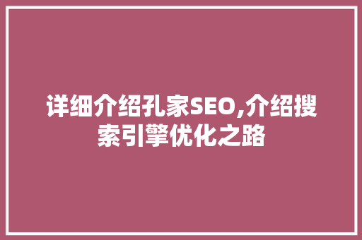 详细介绍孔家SEO,介绍搜索引擎优化之路