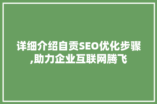 详细介绍自贡SEO优化步骤,助力企业互联网腾飞