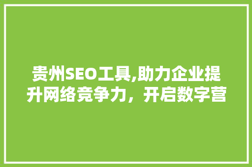 贵州SEO工具,助力企业提升网络竞争力，开启数字营销新篇章