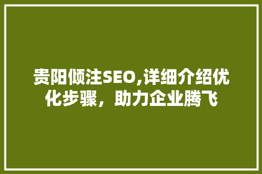 贵阳倾注SEO,详细介绍优化步骤，助力企业腾飞