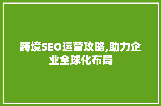 跨境SEO运营攻略,助力企业全球化布局