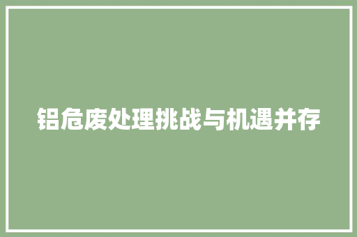铝危废处理挑战与机遇并存