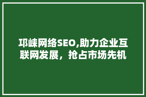 邛崃网络SEO,助力企业互联网发展，抢占市场先机