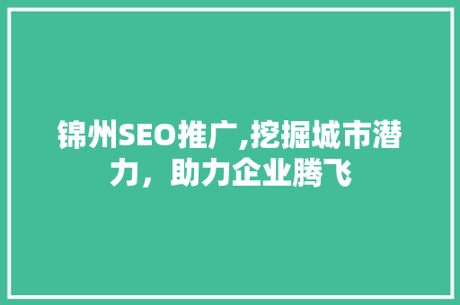 锦州SEO推广,挖掘城市潜力，助力企业腾飞