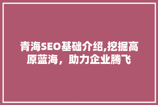 青海SEO基础介绍,挖掘高原蓝海，助力企业腾飞