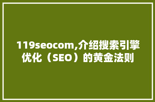 119seocom,介绍搜索引擎优化（SEO）的黄金法则