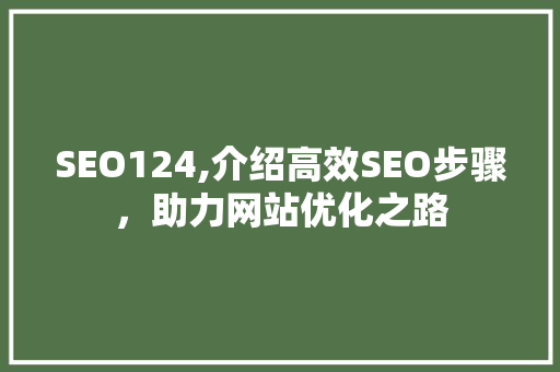 SEO124,介绍高效SEO步骤，助力网站优化之路