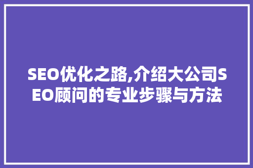 SEO优化之路,介绍大公司SEO顾问的专业步骤与方法