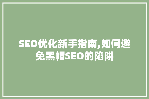 SEO优化新手指南,如何避免黑帽SEO的陷阱  第1张