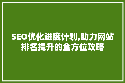 SEO优化进度计划,助力网站排名提升的全方位攻略