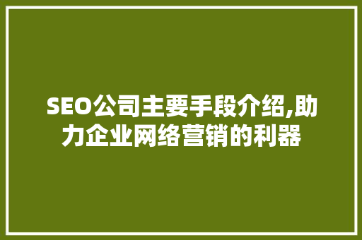 SEO公司主要手段介绍,助力企业网络营销的利器