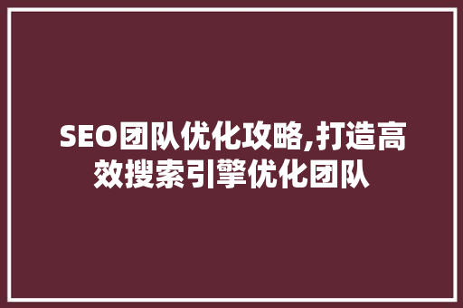 SEO团队优化攻略,打造高效搜索引擎优化团队