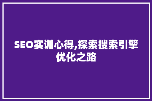 SEO实训心得,探索搜索引擎优化之路