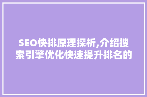 SEO快排原理探析,介绍搜索引擎优化快速提升排名的奥秘