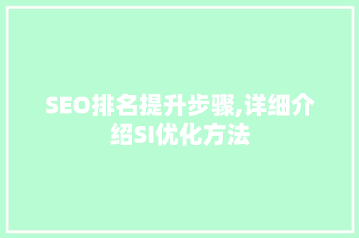 SEO排名提升步骤,详细介绍SI优化方法
