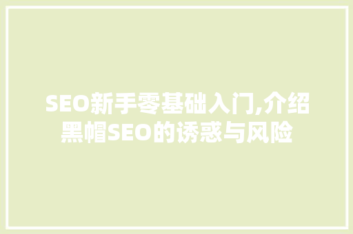 SEO新手零基础入门,介绍黑帽SEO的诱惑与风险