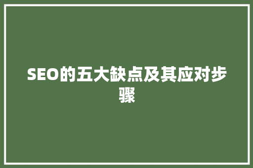 SEO的五大缺点及其应对步骤
