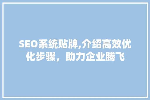SEO系统贴牌,介绍高效优化步骤，助力企业腾飞
