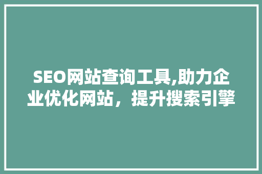 SEO网站查询工具,助力企业优化网站，提升搜索引擎排名
