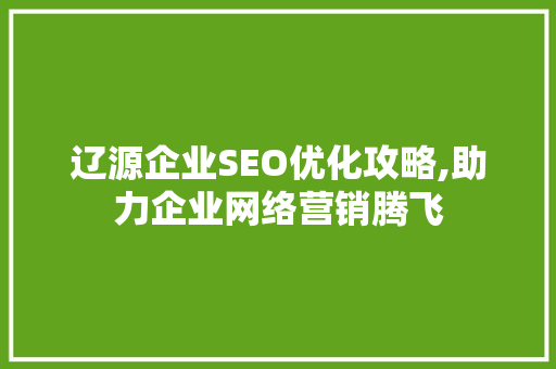辽源企业SEO优化攻略,助力企业网络营销腾飞