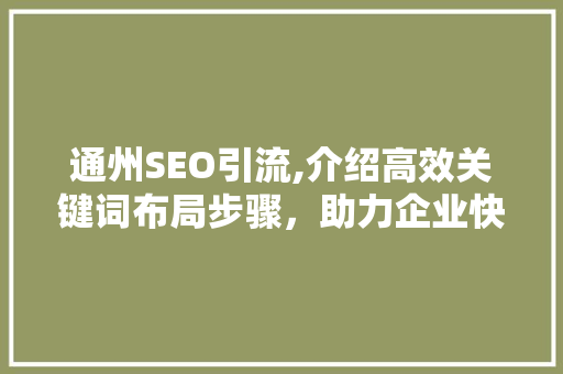 通州SEO引流,介绍高效关键词布局步骤，助力企业快速崛起