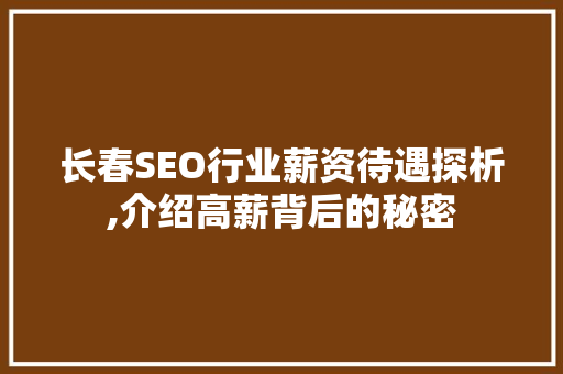 长春SEO行业薪资待遇探析,介绍高薪背后的秘密
