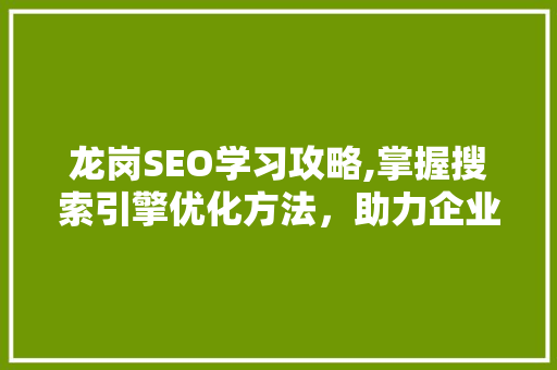 龙岗SEO学习攻略,掌握搜索引擎优化方法，助力企业网站排名提升