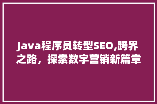 Java程序员转型SEO,跨界之路，探索数字营销新篇章