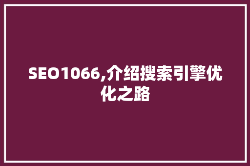 SEO1066,介绍搜索引擎优化之路