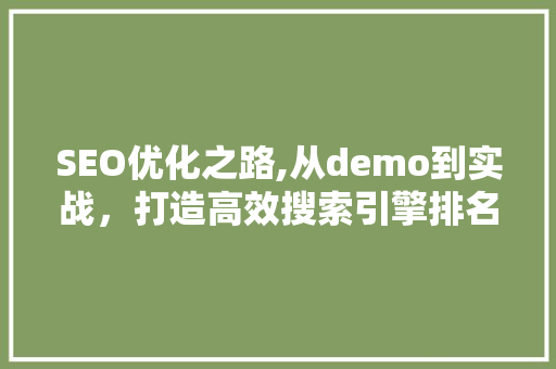 SEO优化之路,从demo到实战，打造高效搜索引擎排名