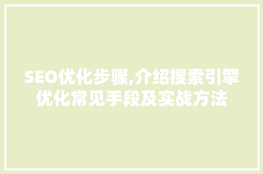 SEO优化步骤,介绍搜索引擎优化常见手段及实战方法