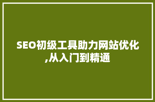 SEO初级工具助力网站优化,从入门到精通