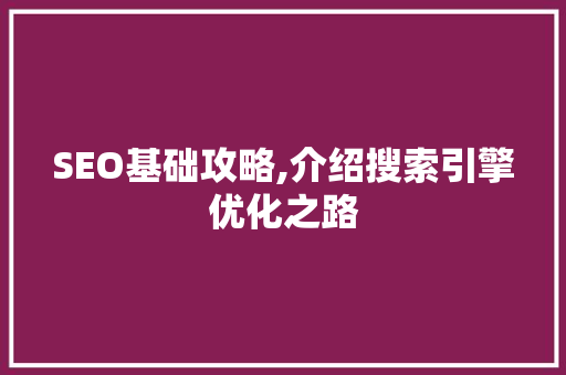 SEO基础攻略,介绍搜索引擎优化之路