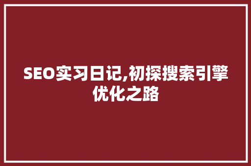 SEO实习日记,初探搜索引擎优化之路