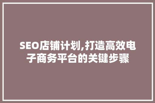 SEO店铺计划,打造高效电子商务平台的关键步骤